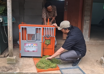Dari Daun Talas Jadi Cuan, Petani Saninten Naik Kelas dengan Teknologi