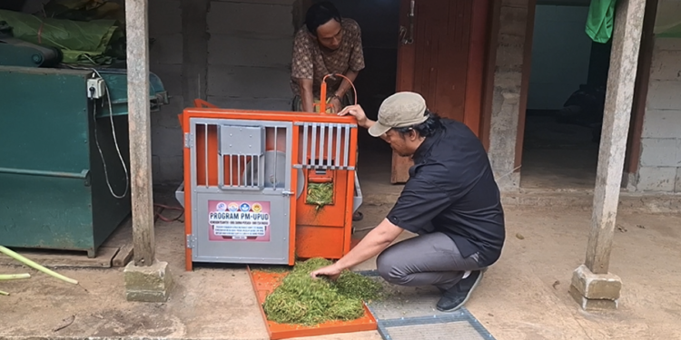 Dari Daun Talas Jadi Cuan, Petani Saninten Naik Kelas dengan Teknologi